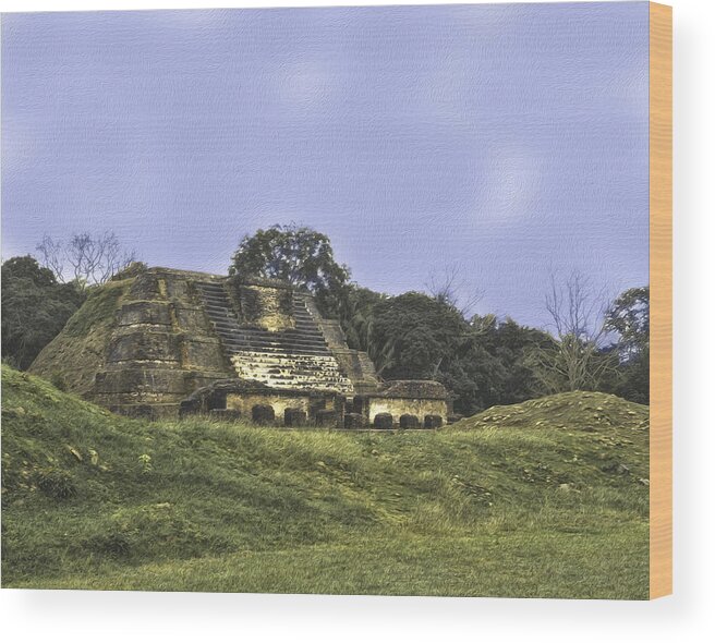 Belize Wood Print featuring the photograph Mayan Ruins in Belize by Linda Constant