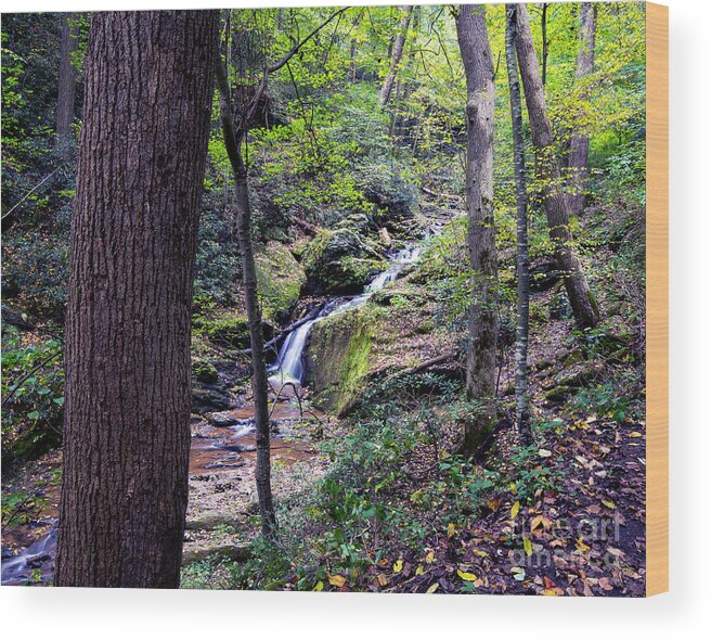 Mill Creek Falls Wood Print featuring the photograph Mill Creek Falls by Eric Killian