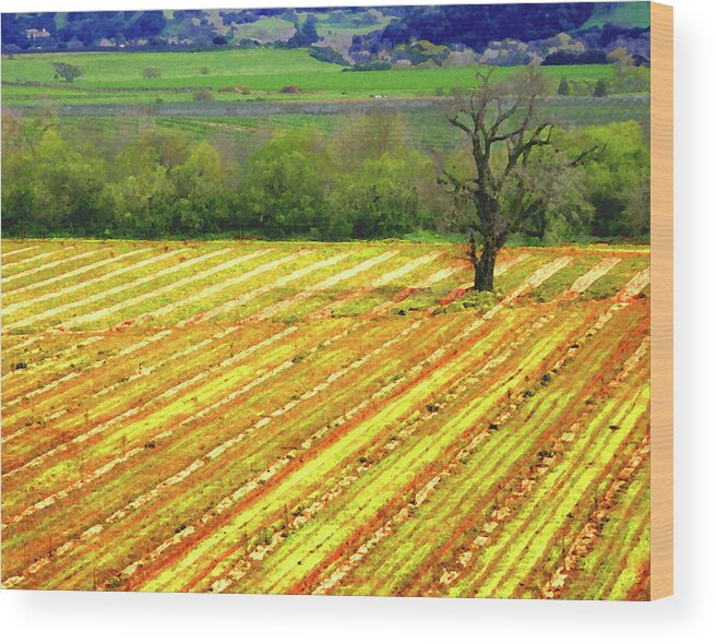 Fields Wood Print featuring the digital art Mission Fields by Timothy Bulone