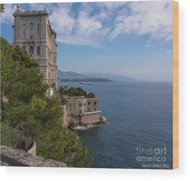 Landscape Wood Print featuring the photograph Monaco by Barry Bohn