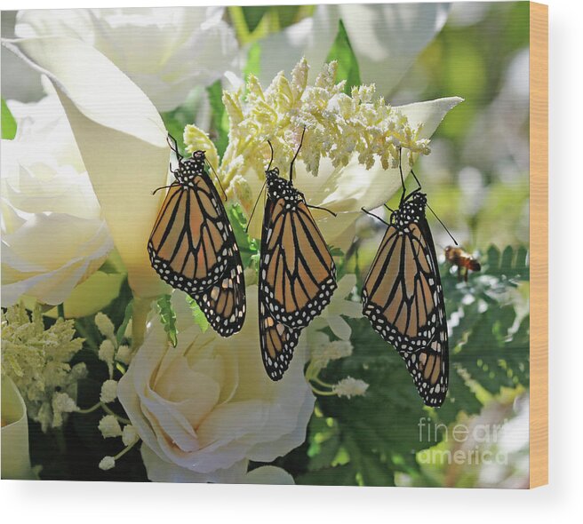 Monarch Butterfly Photo Wood Print featuring the photograph Monarch Butterfly Garden by Luana K Perez