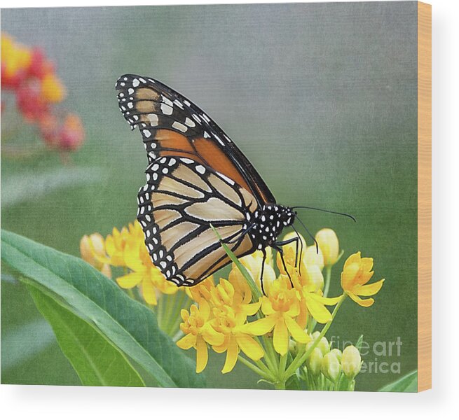 Flower Wood Print featuring the photograph Monarch on Yellow by Ann Jacobson