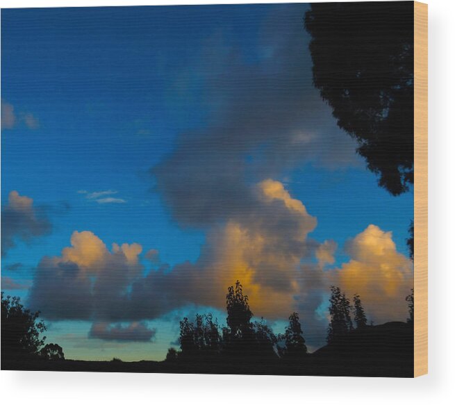 Sunrise Wood Print featuring the photograph Dawn Gold by Mark Blauhoefer