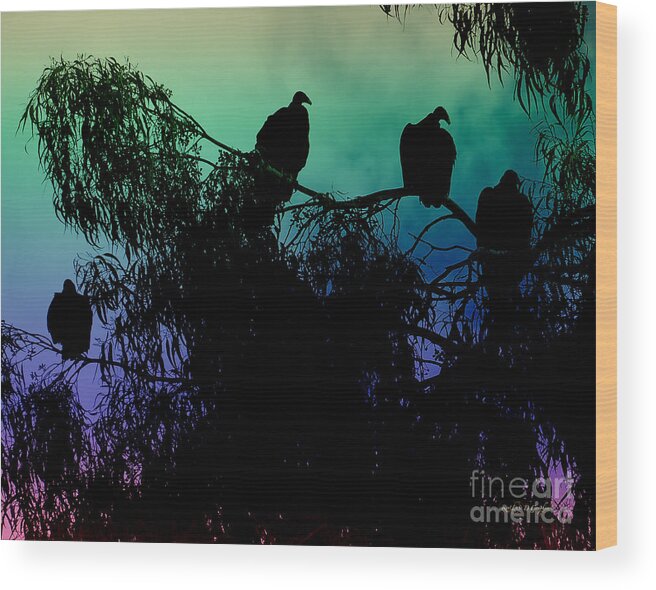 Vultures Buzzard Trees Eucalyptus Canyon Lake California Gradient Wood Print featuring the photograph Morning Has Broken by Rhonda Strickland