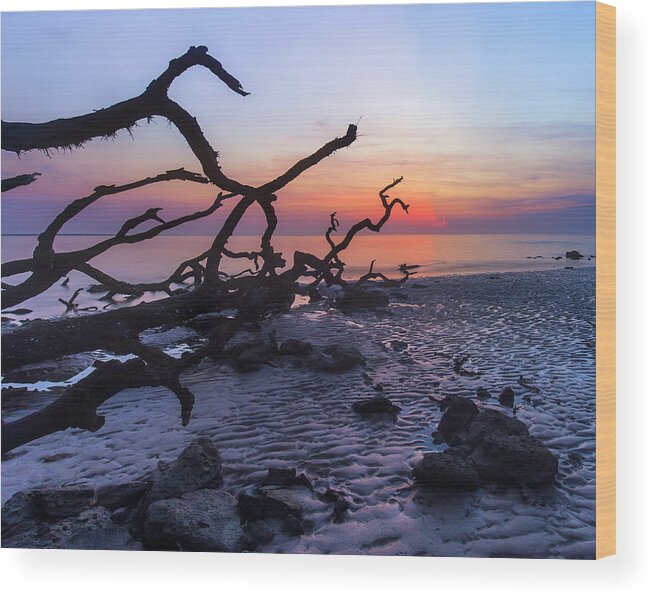 Sunrise Wood Print featuring the photograph Morning Light by Alan Raasch