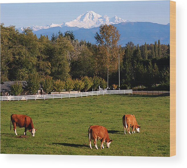 Mt. Baker Wood Print featuring the photograph Mount Baker from Langley BC by Marion McCristall