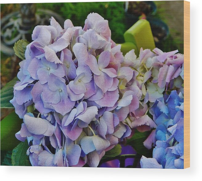 Flower Wood Print featuring the photograph My Hydrangea by VLee Watson