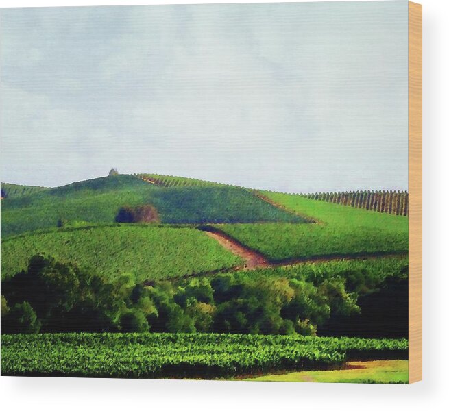 Napa Wood Print featuring the photograph Napa Valley Vineyards 3 by Timothy Bulone