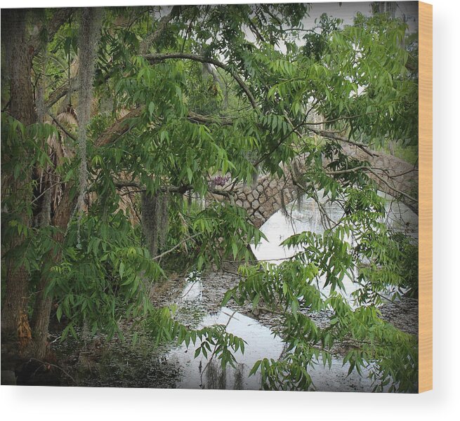 Park Wood Print featuring the photograph New Orleans City Park by Beth Vincent