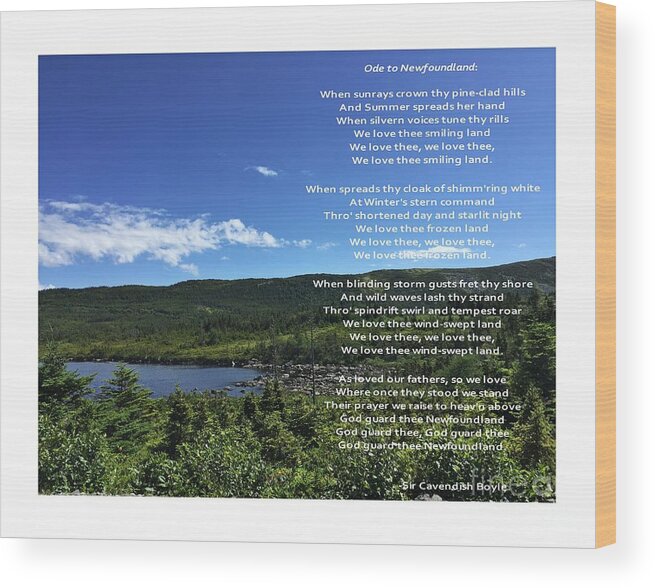 Ode To Newfoundland 2 Wood Print featuring the photograph Ode to Newfoundland 2 by Barbara A Griffin