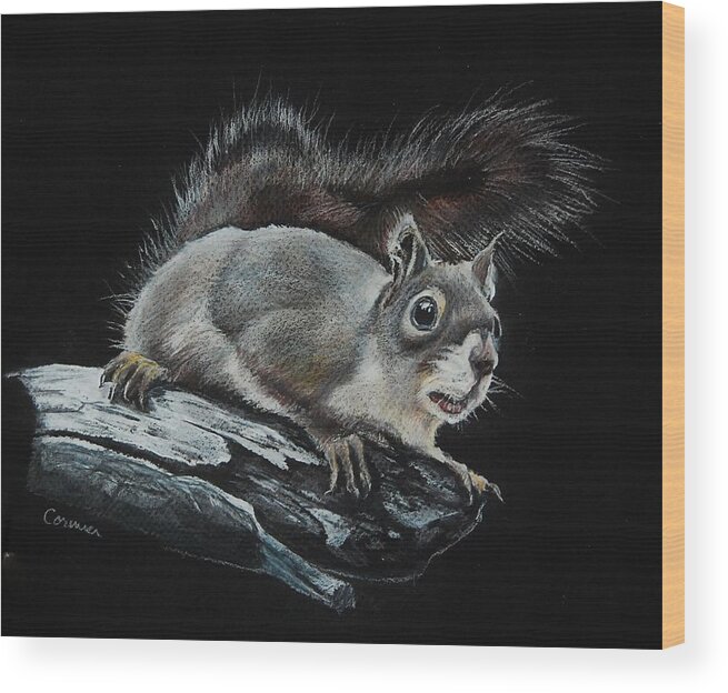 Squirrel Wood Print featuring the drawing Oh Nuts by Jean Cormier