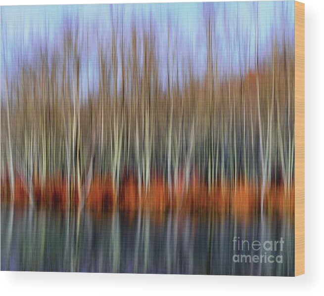 Oil Painting Wood Print featuring the photograph Oil Painting Reflection by Phil Spitze