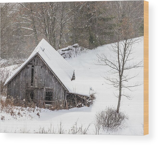 Barn Wood Print featuring the photograph Old Barn on a Winter Day by Tim Kirchoff