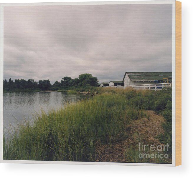 Stables Wood Print featuring the digital art Old Field Stables by the Water by Jack Ader