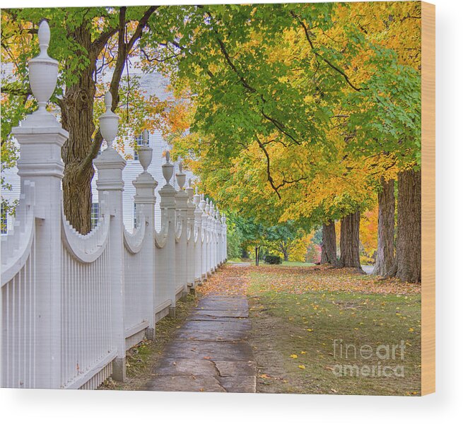 Church Wood Print featuring the photograph Old First Church Fence by Rod Best