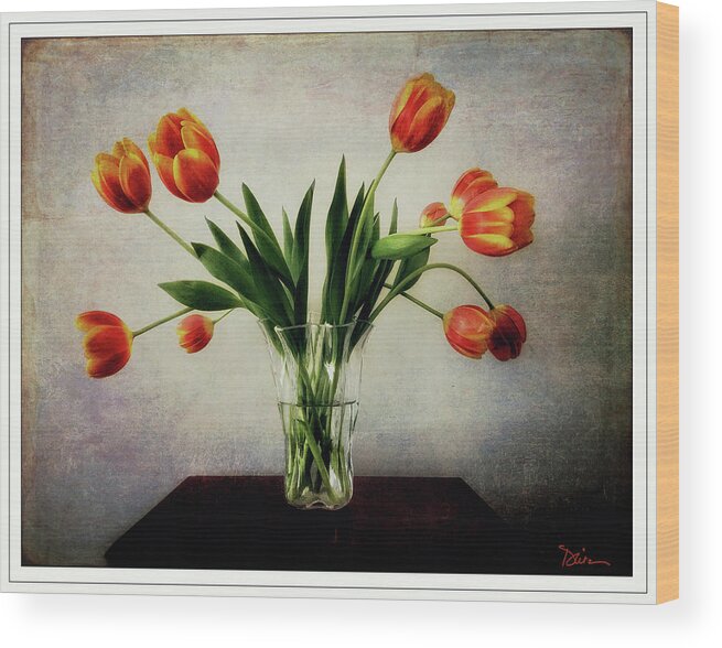 Tulips Wood Print featuring the photograph Old World Tulips by Peggy Dietz