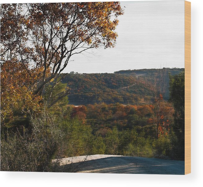  Wood Print featuring the photograph On My Way Home by Karen Musick