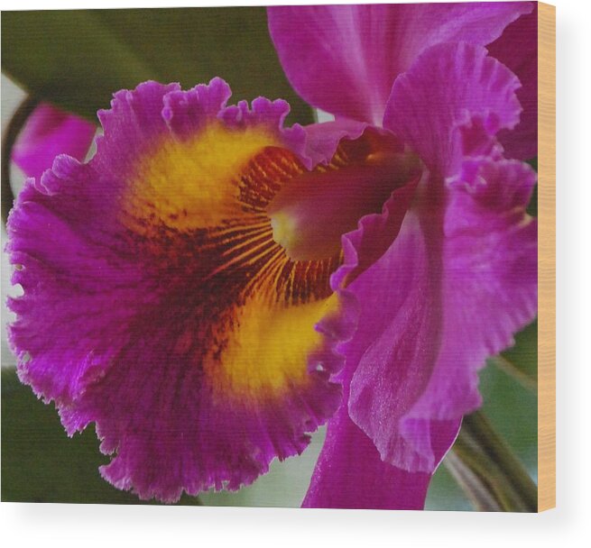 Orchid Wood Print featuring the photograph Orchid in the Wild by Debbie Karnes