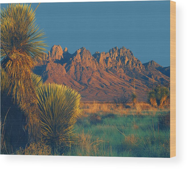 Sunset Wood Print featuring the photograph 214801-Organ Mountains at Sunset by Ed Cooper Photography