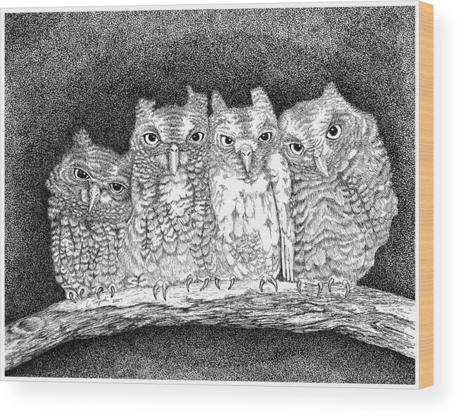 Owl Wood Print featuring the drawing Owls by Lawrence Tripoli