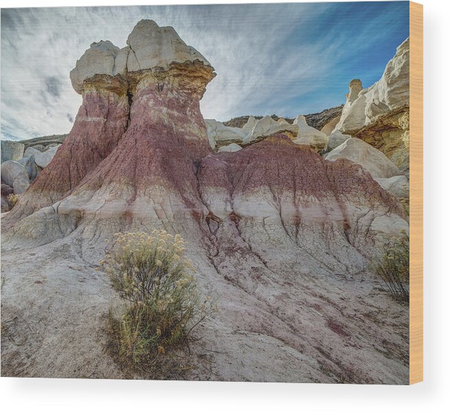Colorado Wood Print featuring the photograph Paint Mine Park Hoodoo by John Strong