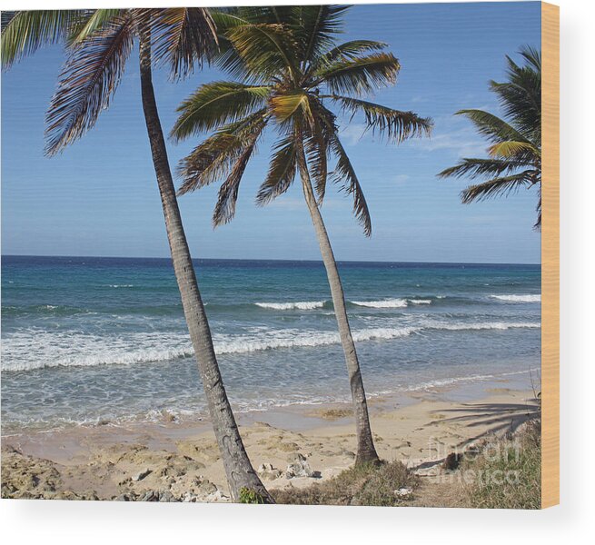 Palm Tree Wood Print featuring the photograph Palms by Kelly Holm