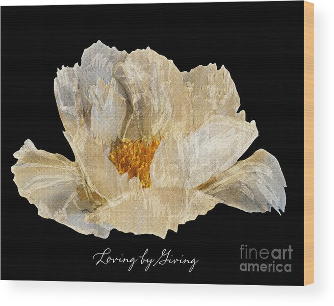 Diane Berry Wood Print featuring the photograph Paper Peony Loving by Giving by Diane E Berry