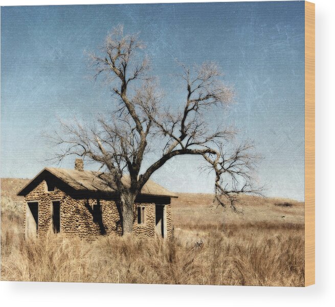 wichita Mountains Wood Print featuring the photograph Past Times in the Wichita's by Lana Trussell