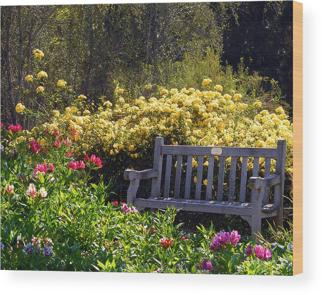 Flowers Wood Print featuring the photograph Peaceful by Amy Fose