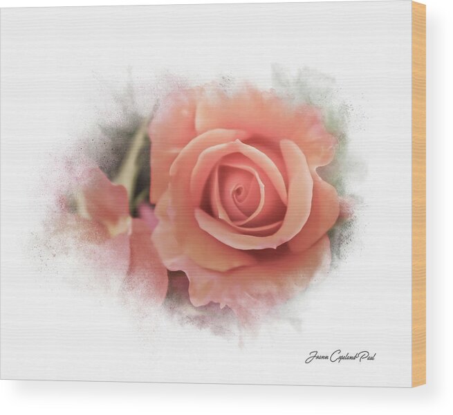 Peach Rose Wood Print featuring the photograph Peach Perfection by Joann Copeland-Paul