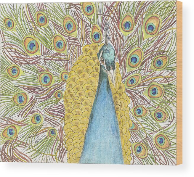 Peacock Wood Print featuring the drawing Peacock One by Arlene Crafton