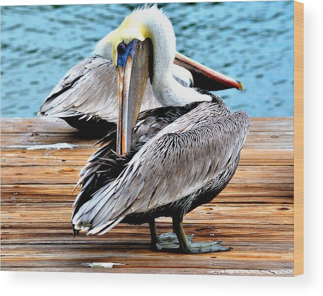 Pelican Wood Print featuring the digital art Pelican Ally by Alison Belsan Horton