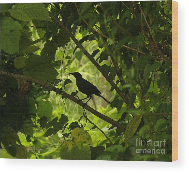 Arboraceous Wood Print featuring the photograph Perched in Green by Jack Norton
