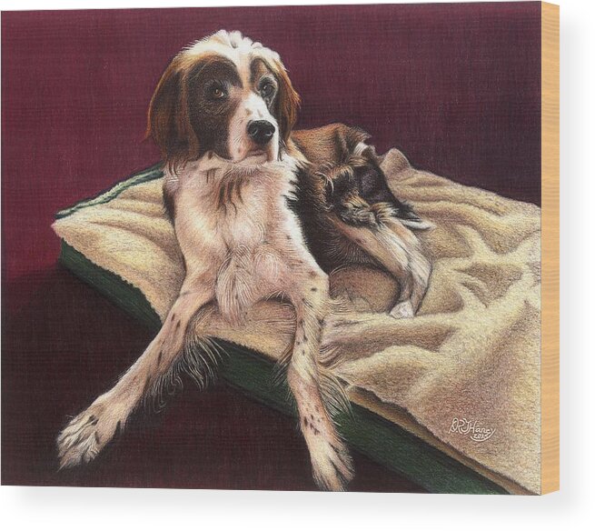 Brittany Spaniel Wood Print featuring the drawing Picasso by Danielle R T Haney