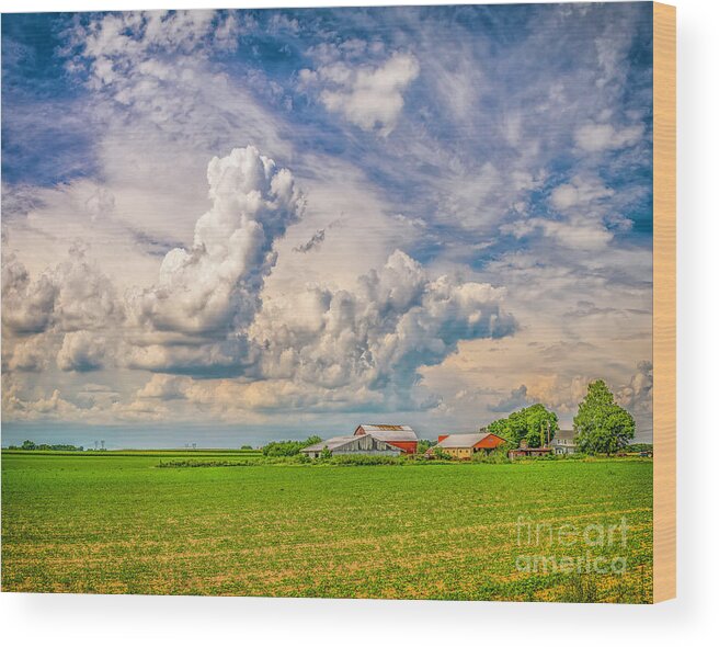 Clouds Wood Print featuring the photograph Pillar of Clouds by Nick Zelinsky Jr