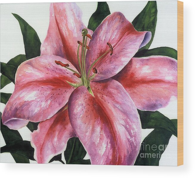 Floral Wood Print featuring the painting Pink Stargazer Lily by Karen Ann