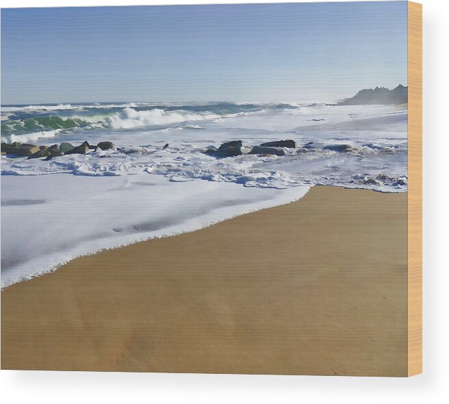 New England Wood Print featuring the photograph Plum Island Beach by David Thompsen