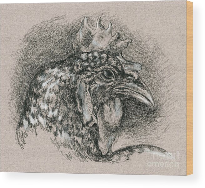 Chicken Wood Print featuring the drawing Plymouth Barred Rock Chicken Portrait by MM Anderson