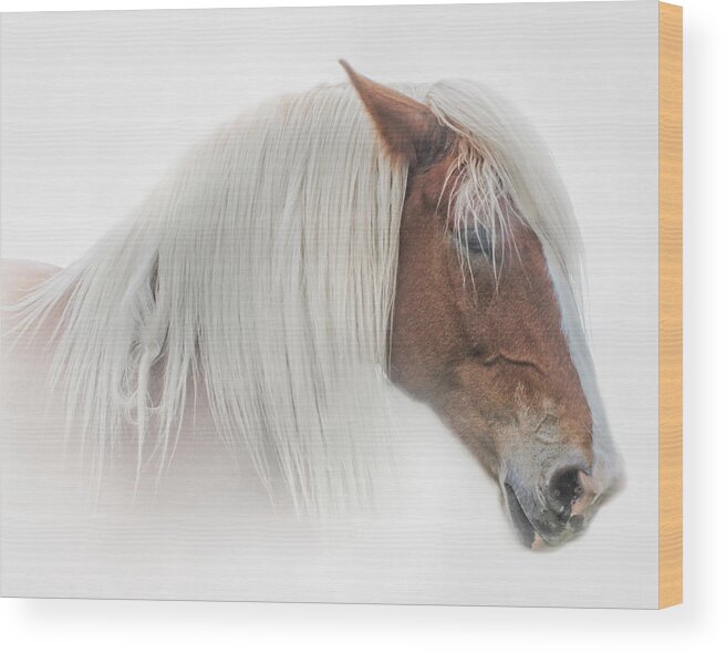 Animals Wood Print featuring the photograph Portrait of a Belgian Horse by David and Carol Kelly