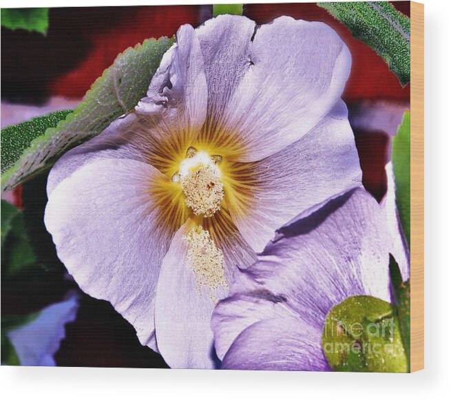 Mauve Flowers Wood Print featuring the photograph Pretty in Mauve by Reb Frost