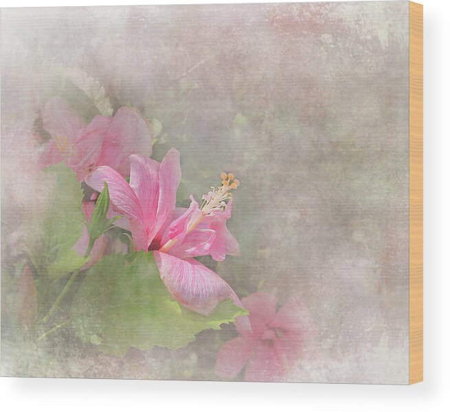 Flower Wood Print featuring the digital art Pretty Pink Hibiscus by Michele A Loftus