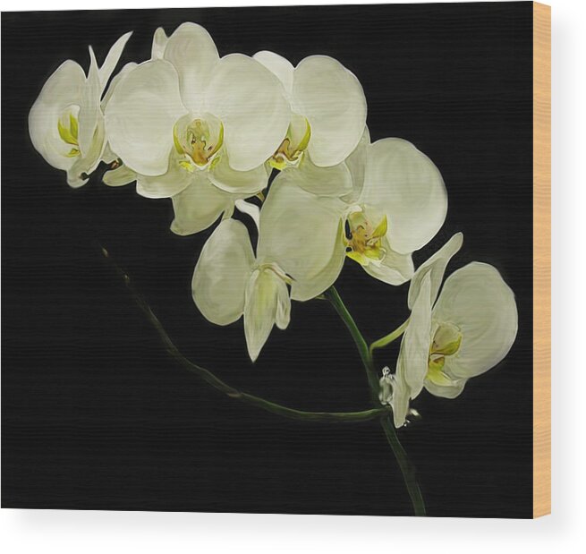 Orchid Wood Print featuring the painting Purification by Darren Bassett