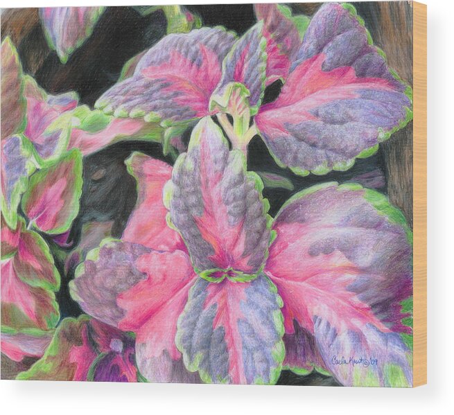 Purple Wood Print featuring the drawing Purple Flowering Plant by Carla Kurt