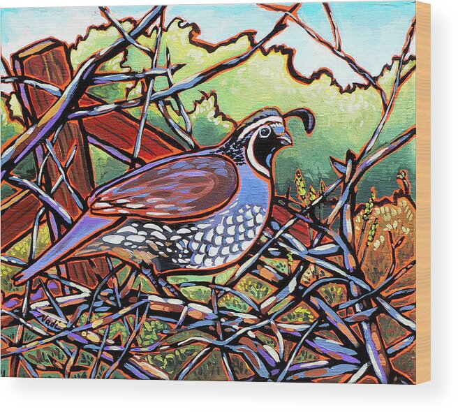 Quail Wood Print featuring the painting Quail by Nadi Spencer