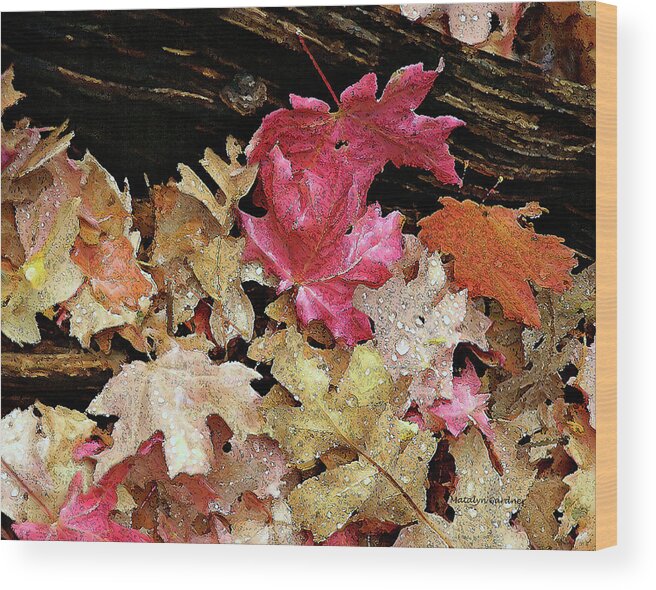 Leaves Wood Print featuring the photograph Rainy Day Leaves by Matalyn Gardner