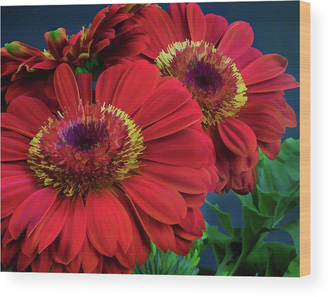 Flowers Wood Print featuring the photograph Red Gerbera Daisy by David Thompsen