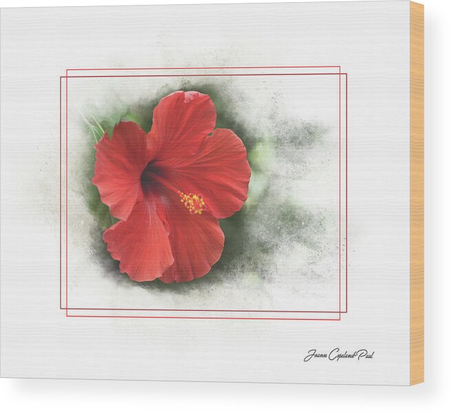 Red Hibiscus Wood Print featuring the photograph Red Hibiscus by Joann Copeland-Paul