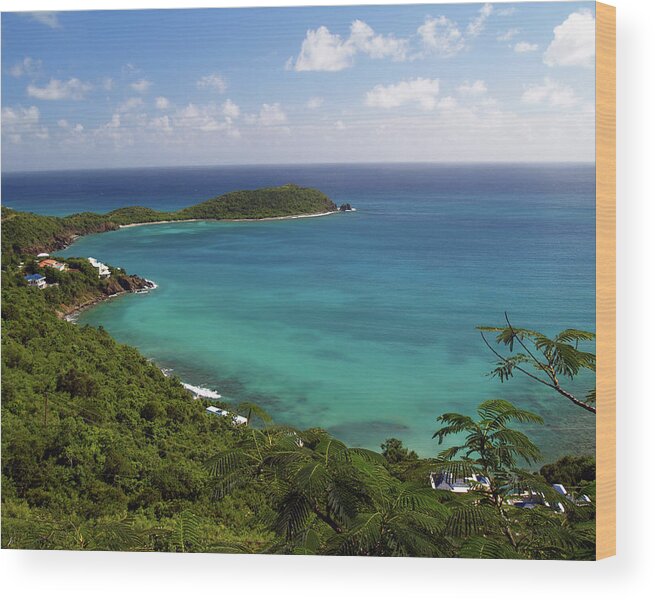 Rendezvous Bay Wood Print featuring the photograph Rendezvous Bay 1 by Pauline Walsh Jacobson