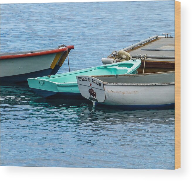Catalina Wood Print featuring the photograph Republic of Catalina by Pamela Newcomb