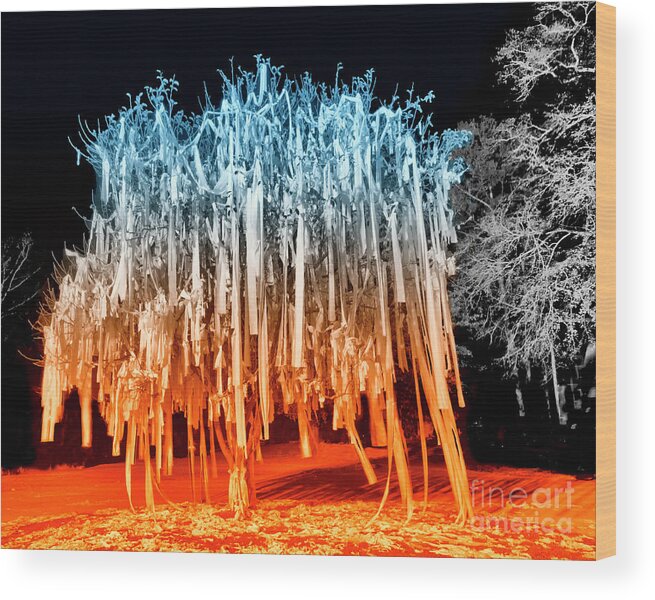 Rolled Tree Wood Print featuring the photograph Rolled Tree OrangeNBlue by Gulf Coast Aerials -